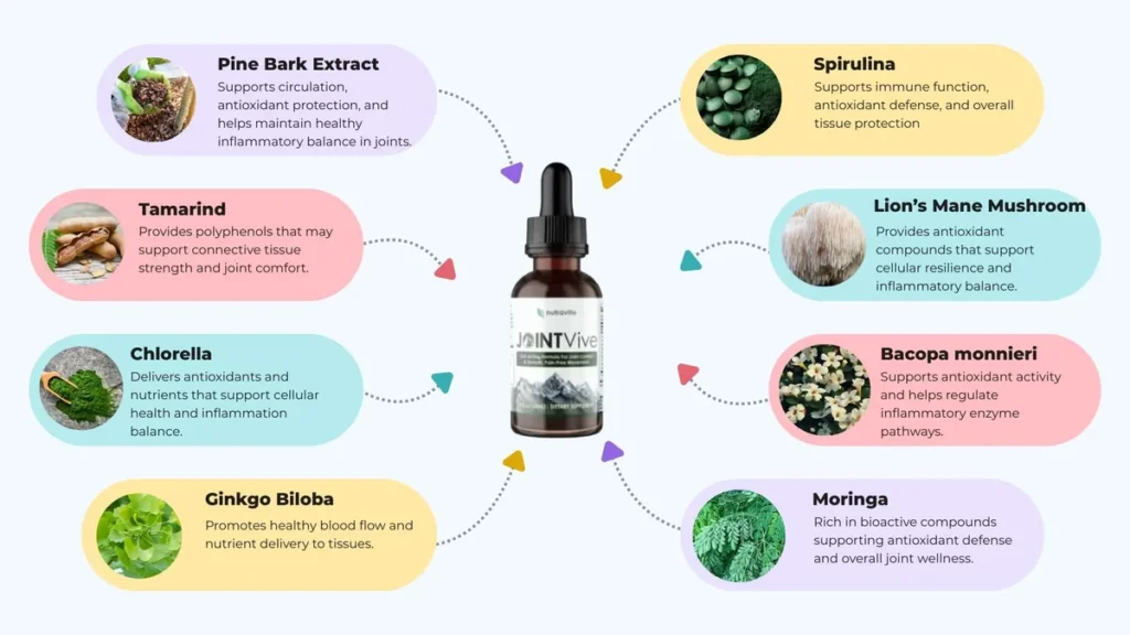 JointVive: Ingredients Behind JointVive