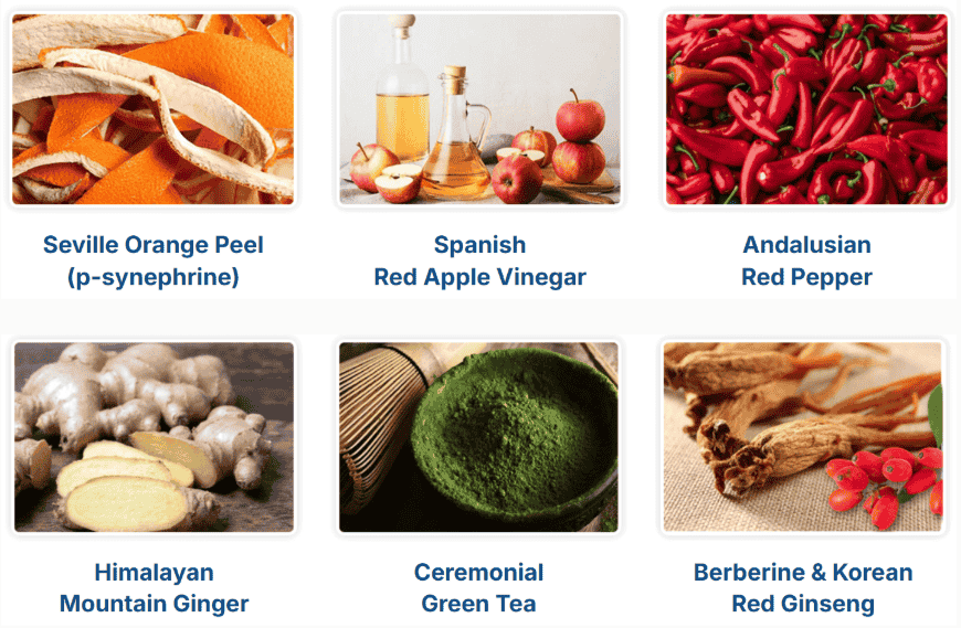 Citrus Burn Review Ingredients Image