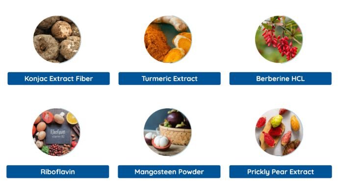 Ignitra Review Real Ingredients Image